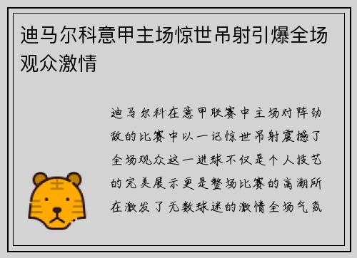 迪马尔科意甲主场惊世吊射引爆全场观众激情